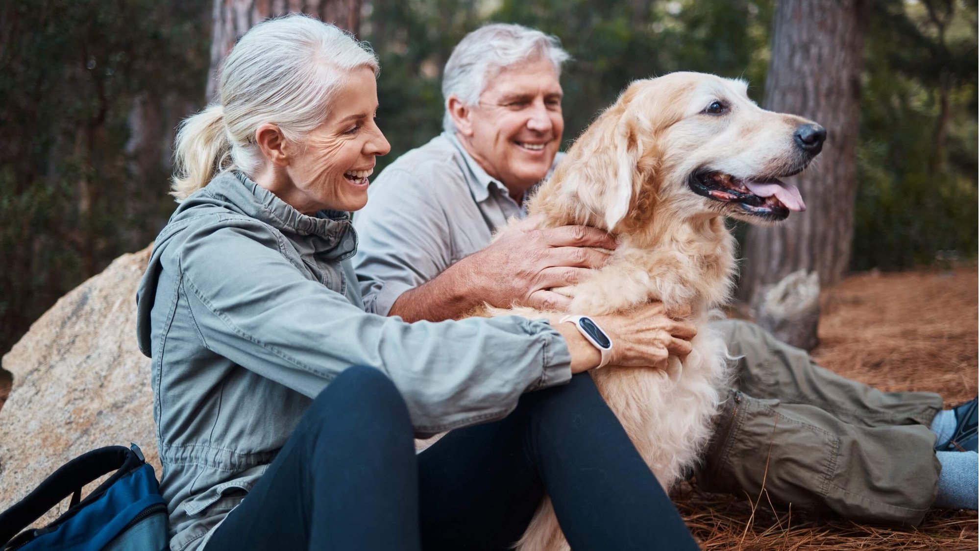 Sachetta financial planning and tax planning in Lynnfield MA