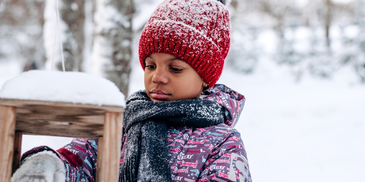 Wealth-management-marketstreet-lynnfield-ma-birds