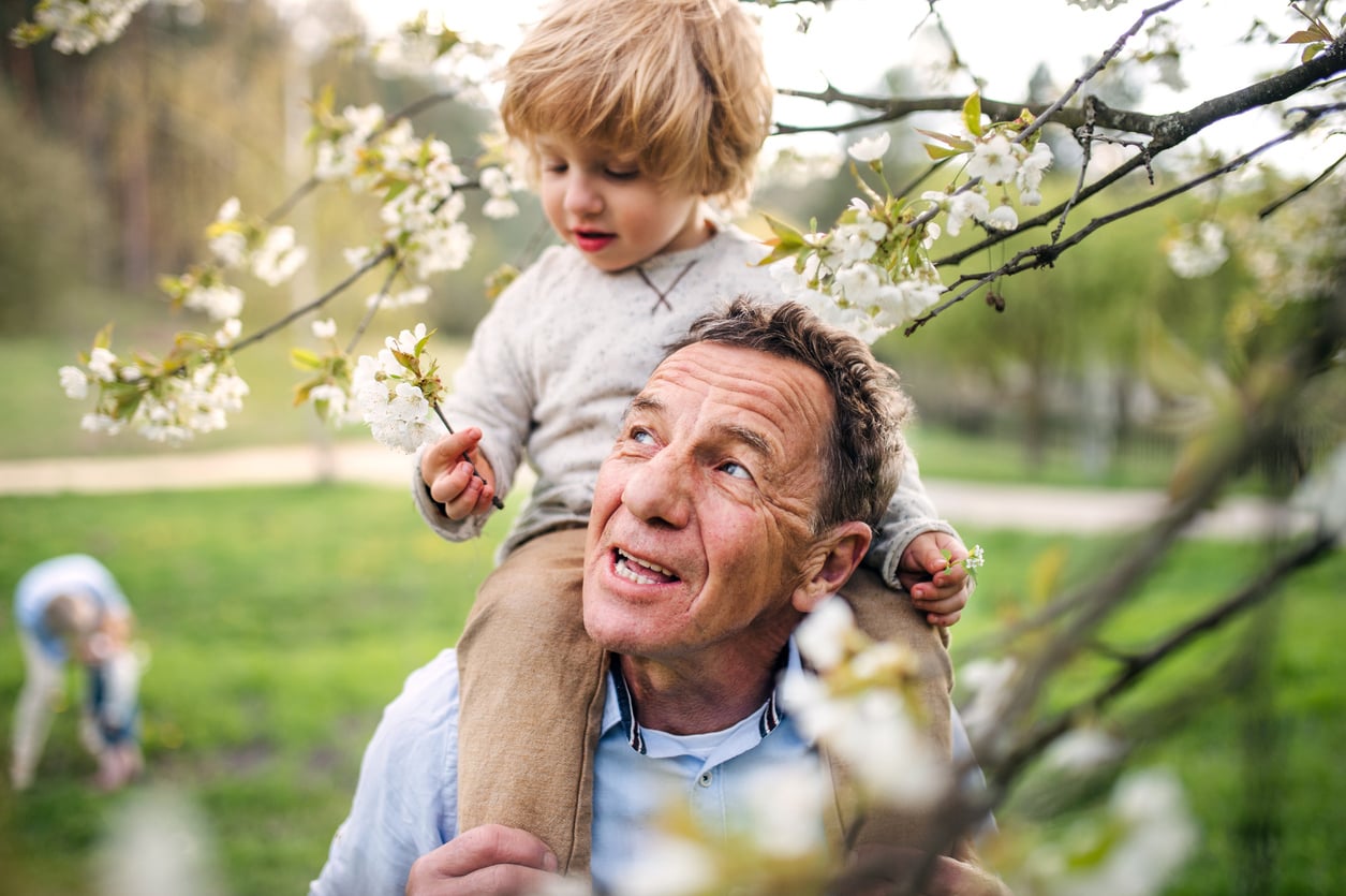 Family Tree Risk: Planning Ahead to Protect Your Financial Plan