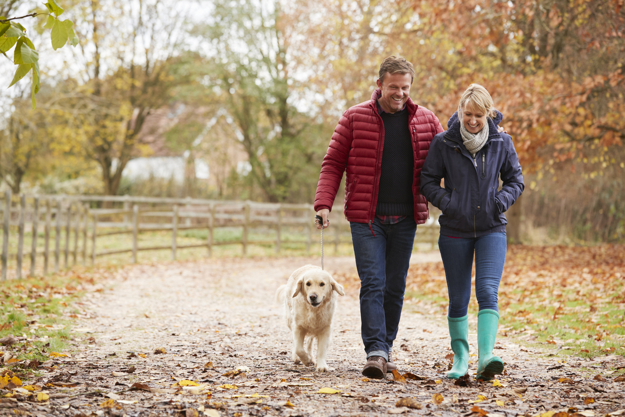 Insurance and annuities are part of risk management. They help protect your plan from both everyday disruptions and more serious setbacks. Reviewing them regularly can help uncover gaps, outdated assumptions, and contracts that deserve a closer look.